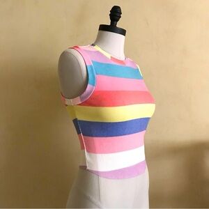 Wildfox Multicolor Striped Tank Top